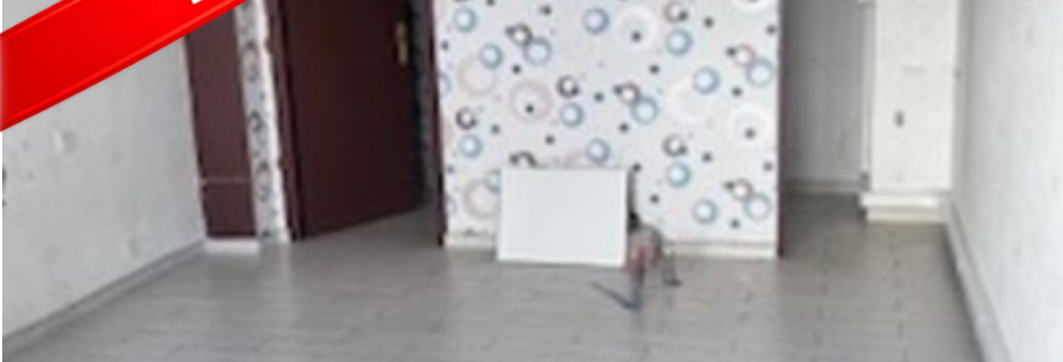 Commerce  25 m² à louer à Limoges (87000)
