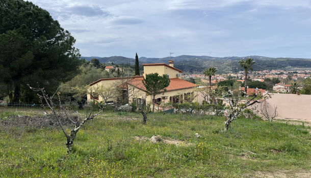 Terrain  à vendre Céret 66400