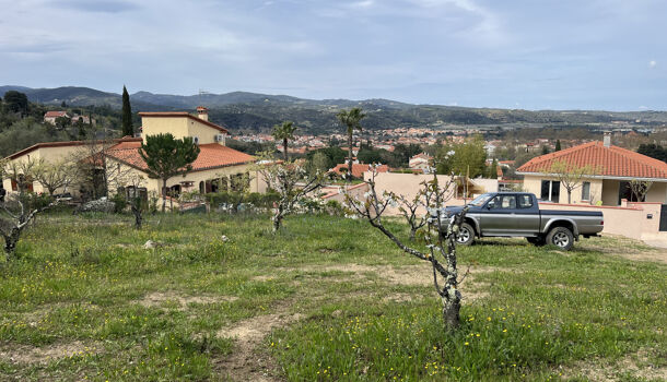 Terrain  à vendre Céret 66400