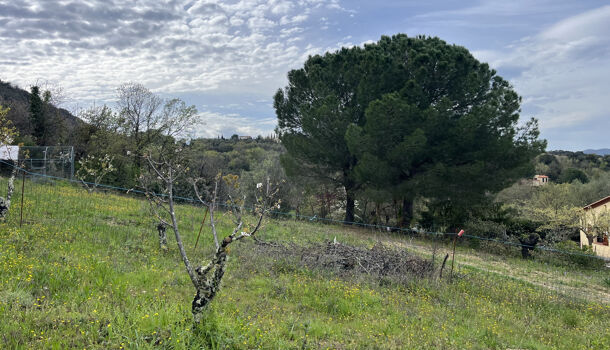 Terrain  à vendre Céret 66400