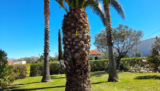 Terrain  à vendre Céret 66400