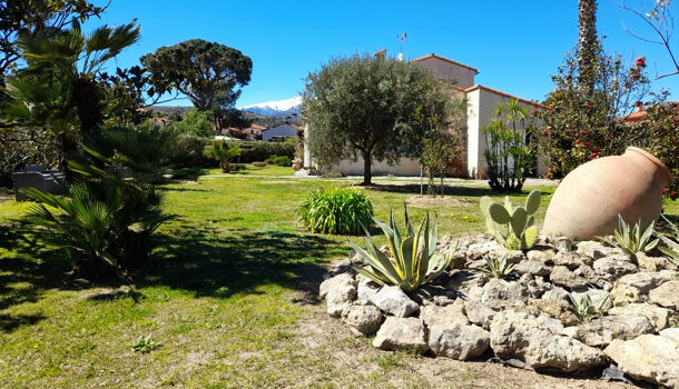 Terrain  à vendre Céret 66400