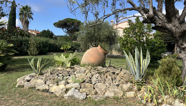 Terrain  à vendre Céret 66400