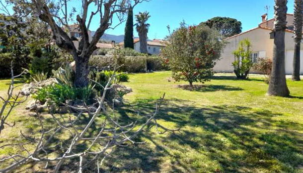 Terrain  à vendre Céret 66400