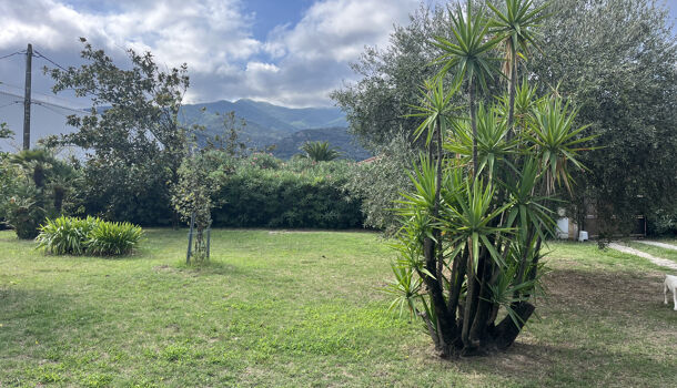 Terrain  à vendre Céret 66400