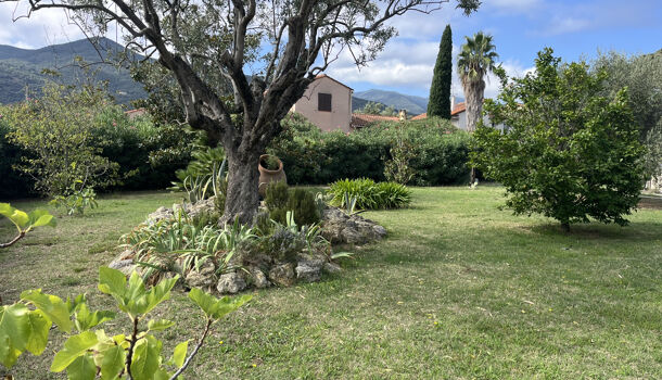 Terrain  à vendre Céret 66400