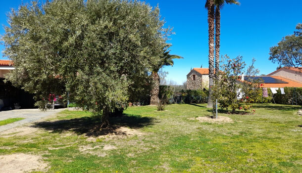 Terrain  à vendre Céret 66400