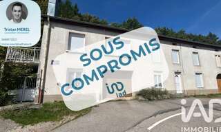 Maison 7 Pièces 154 m² à vendre à Brouvelieures (88600)