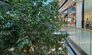 Commerce  180 m² à vendre à Saint-Pierre-d'Irube (64990)