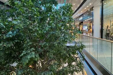 Commerce  487800 €