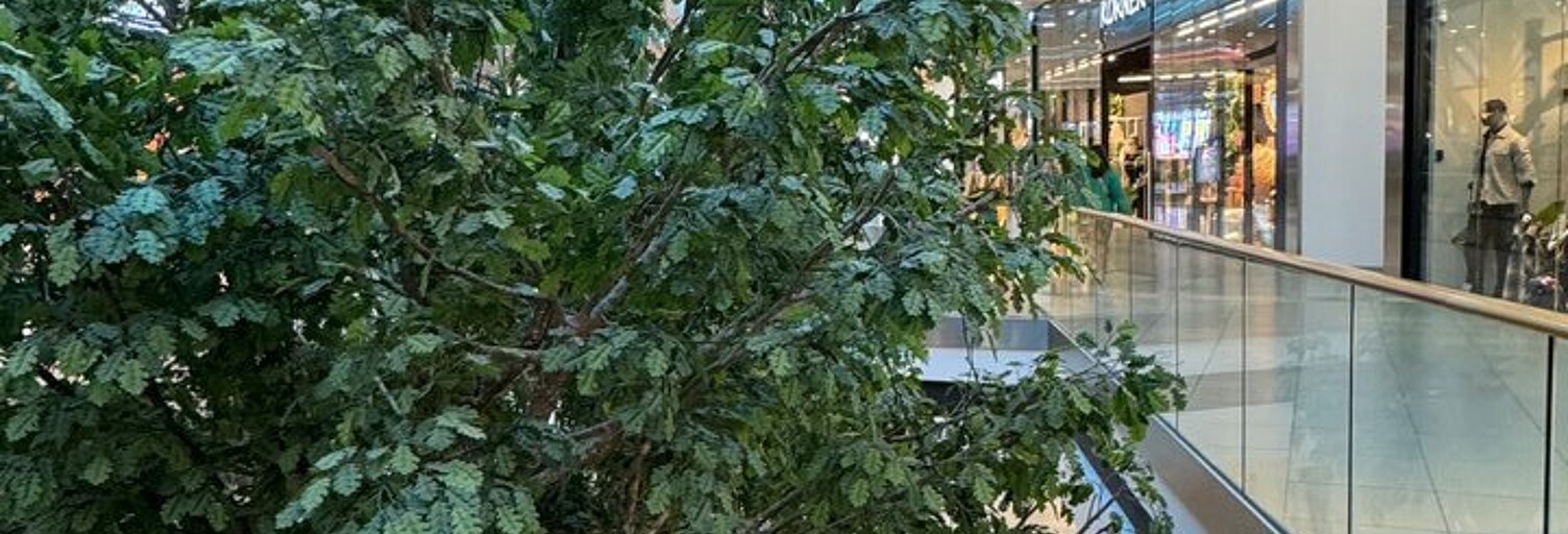 Commerce  180 m² à vendre à Saint-Pierre-d'Irube (64990)