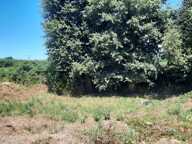 Vente Terrain à bâtir 394 m&sup2; — photo 3