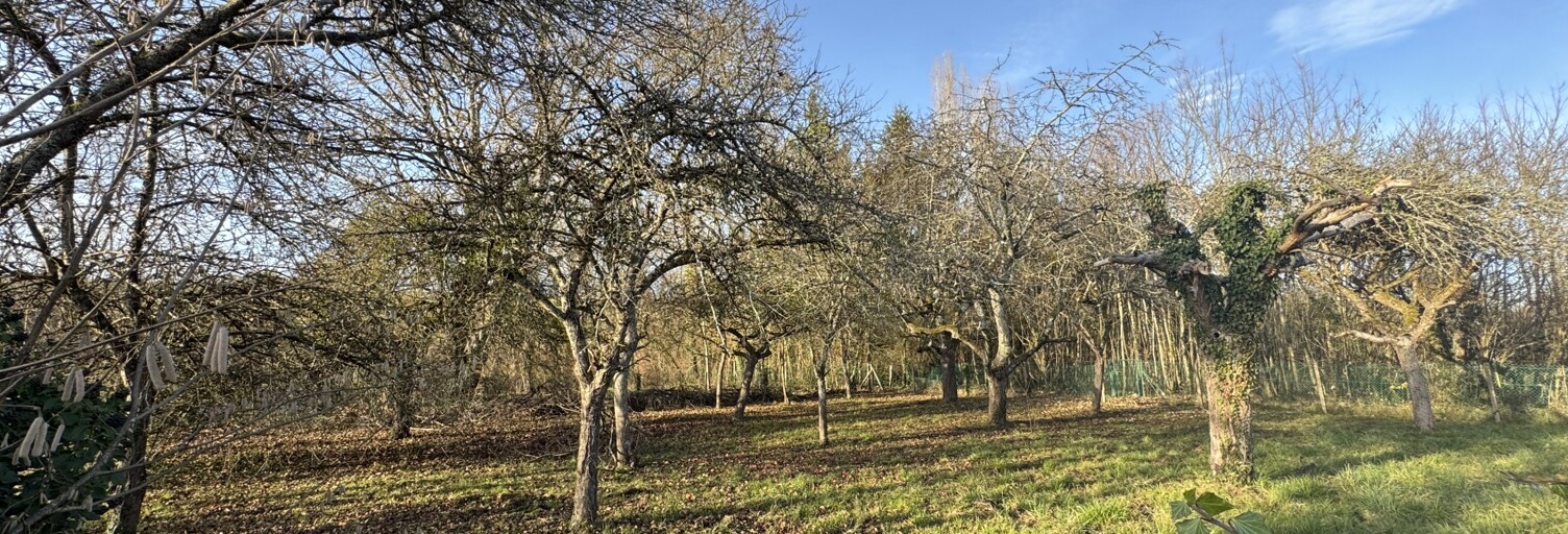 Terrain  956 m² à vendre à Château-Thierry (02400)