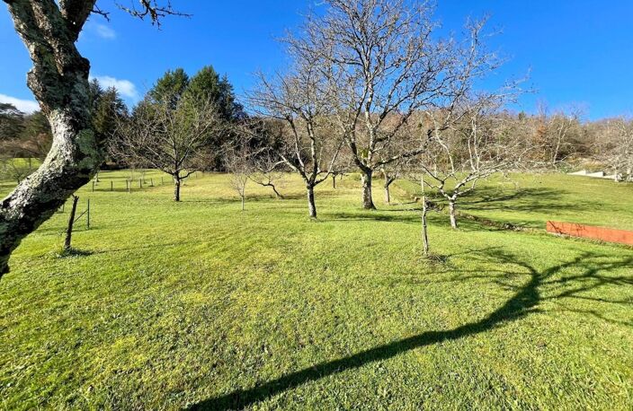 PORT-LESNEY  MAISON DE CARACTÈRE RÉNOVÉE AVEC 2 056 M² DE TERRAIN — photo 5