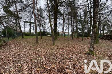Terrain  55000 €