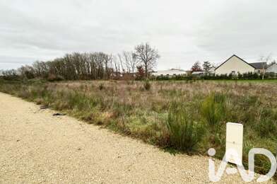 Terrain  50000 €