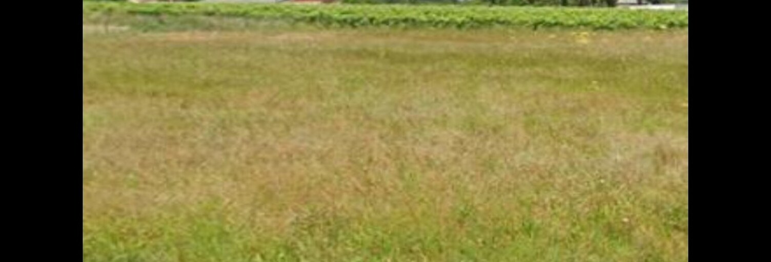 Terrain  10000 m² à vendre à Galgon (33133)