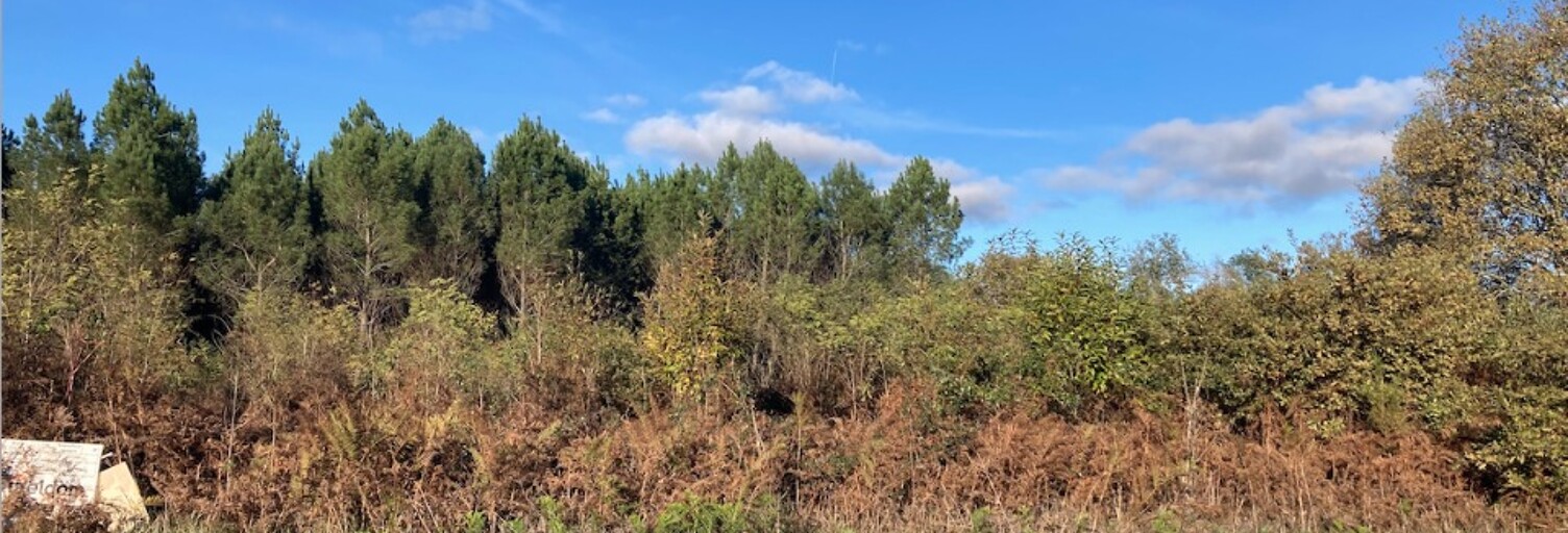 Terrain  860 m² à vendre à Balizac (33730)