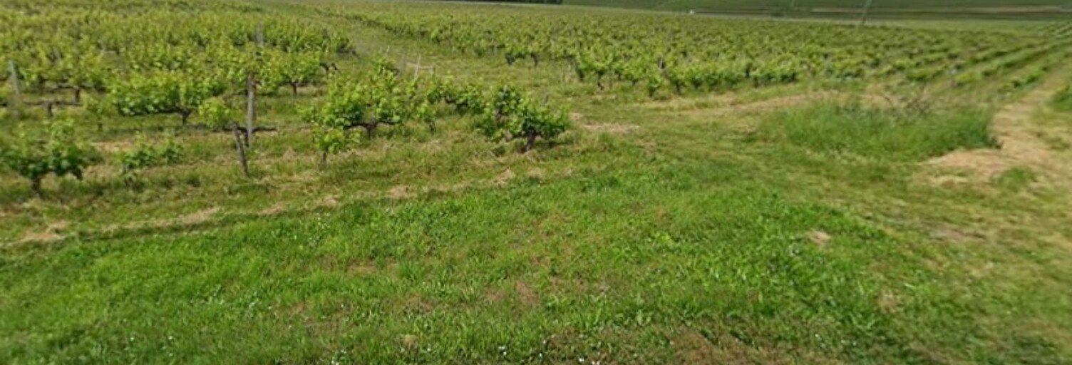 Terrain  850 m² à vendre à Bourg (33710)