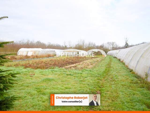Lumineuse maison familiale de 168m2 au sol sur 2 niveaux et 1.6 hectare de terrain + 276m2 de dépendances — photo du bien