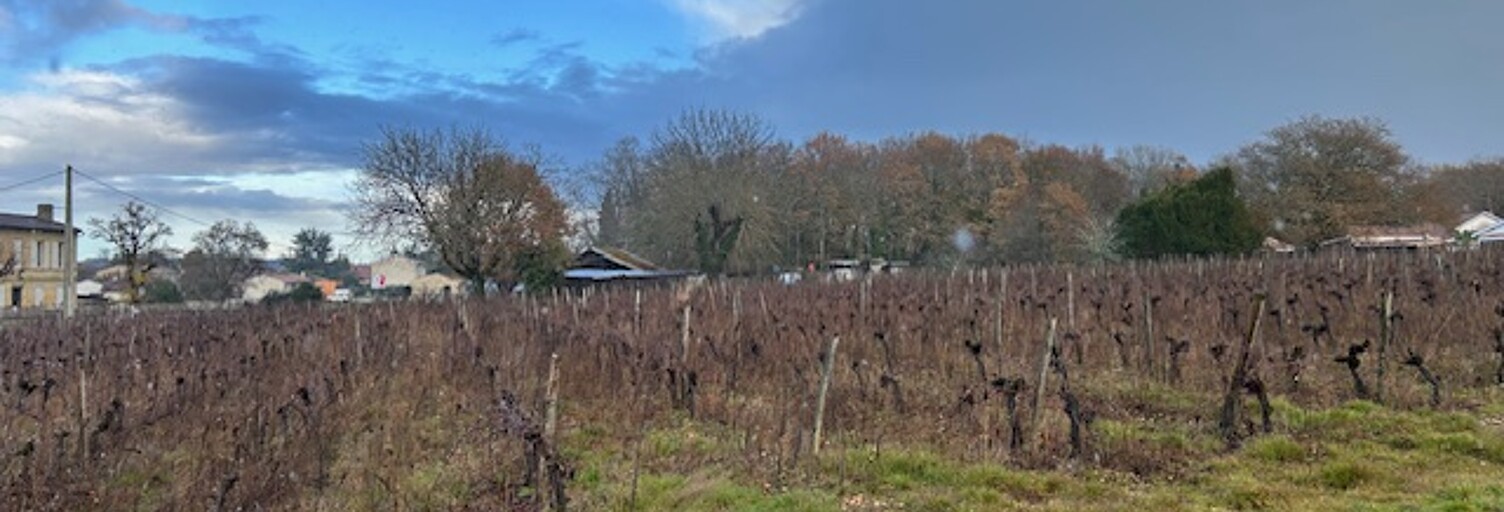 Terrain 460 m² à construire Castres-Gironde (33640)