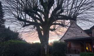 Photo N° 2