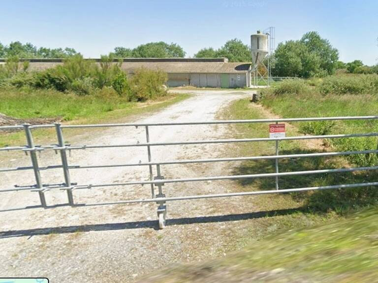 Propriété à vendre 12 pièces BEAUVOIR SUR MER (85) — photo 1