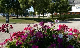 Appartement 1 Pièce 22 m² à vendre à Contrexéville (88140)