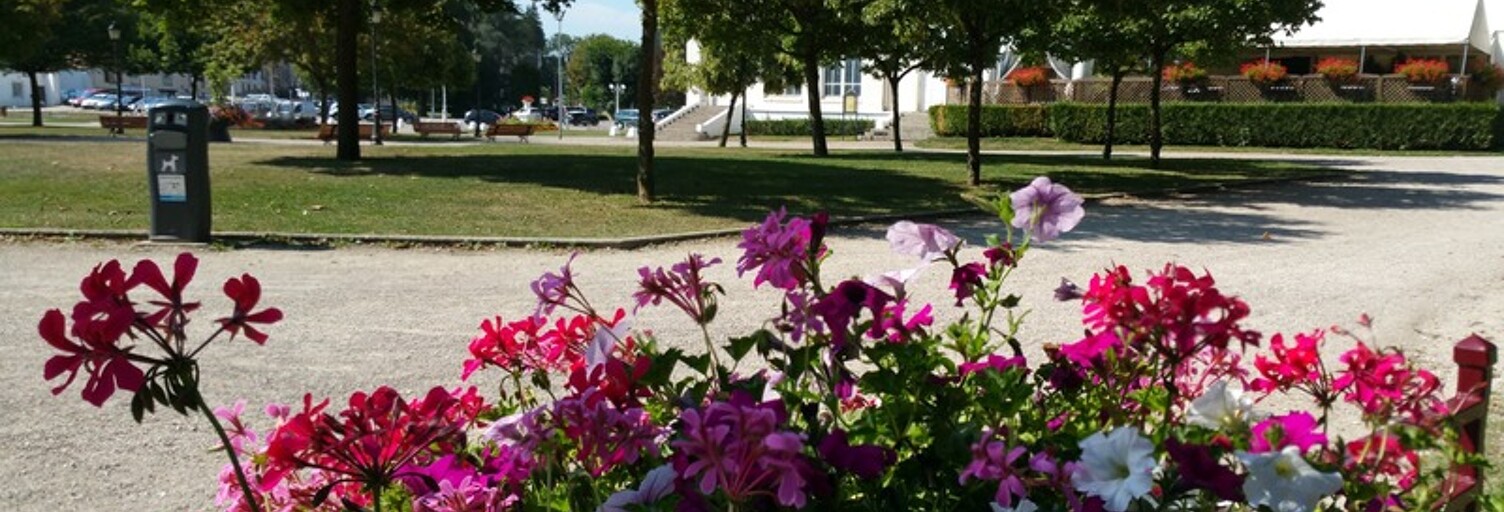 Appartement 1 Pièce 22 m² à vendre à Contrexéville (88140)