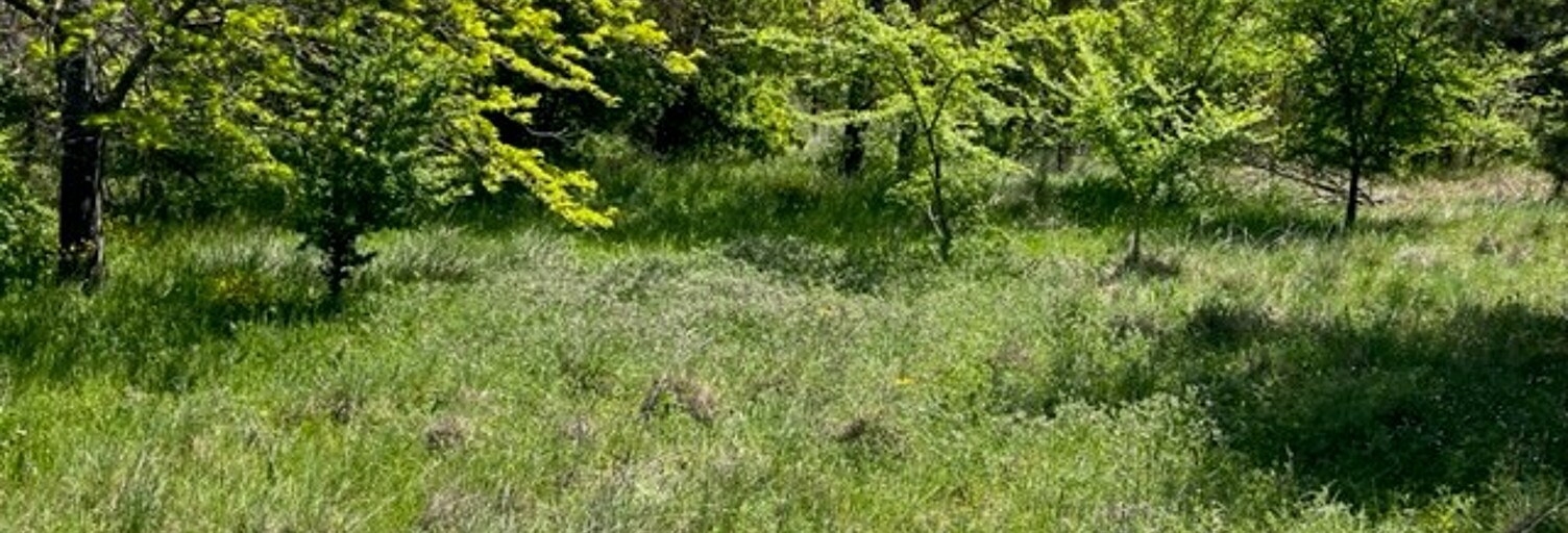 Terrain 400 m² à construire Le Puy-Sainte-Réparade (13610)