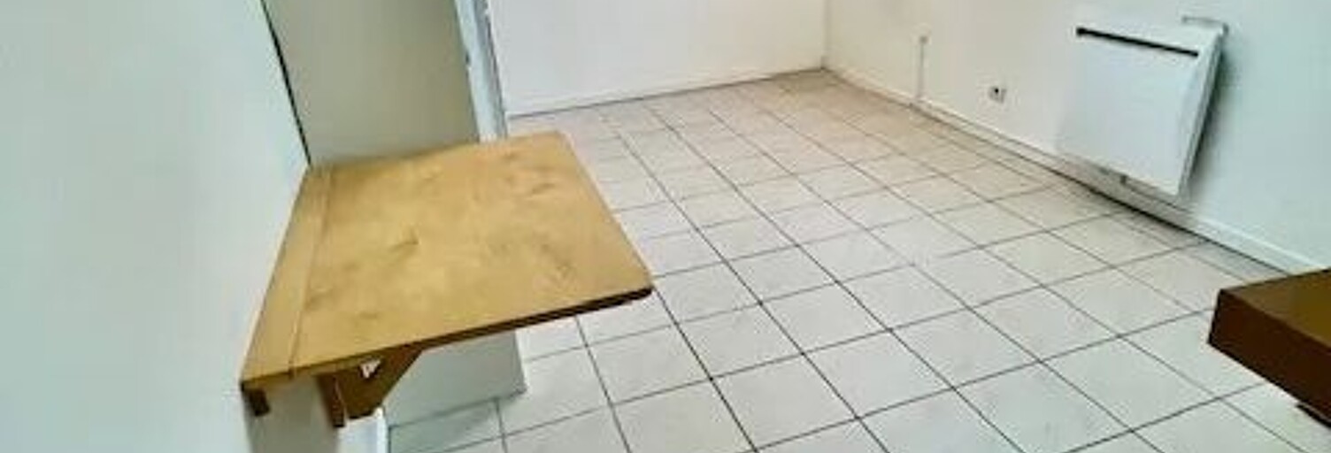 Appartement 1 Pièce 23 m² à louer à Lyon 1 (69001)