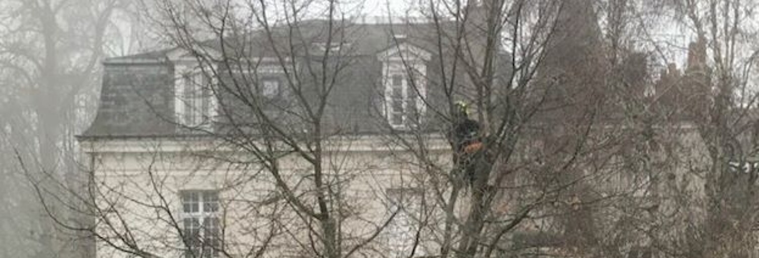 Appartement 1 Pièce 18 m² à louer à Tours (37000)