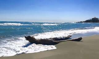 Appartement 3 Pièces 45 m² à vendre à Linguizzetta (20230)