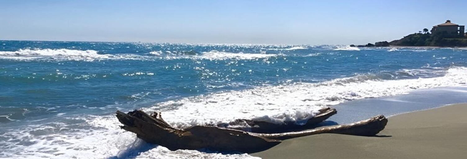 Appartement 3 Pièces 45 m² à vendre à Linguizzetta (20230)