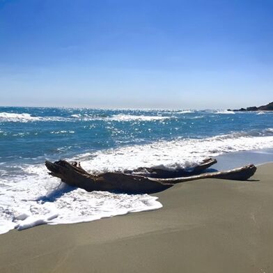 Appartement 3 pièces 199500 €