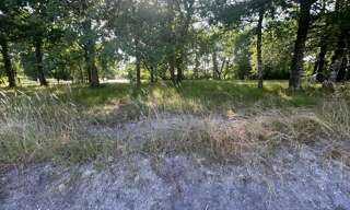 Terrain  1000 m² à vendre à Belhade (40410)