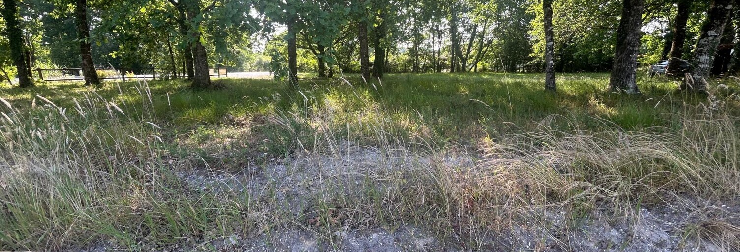 Terrain  1000 m² à vendre à Belhade (40410)