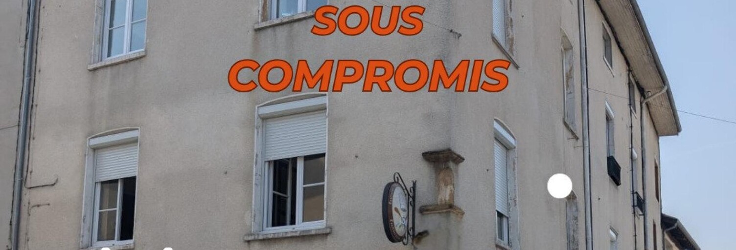 Immeuble  400 m² à vendre à Thoissey (01140)