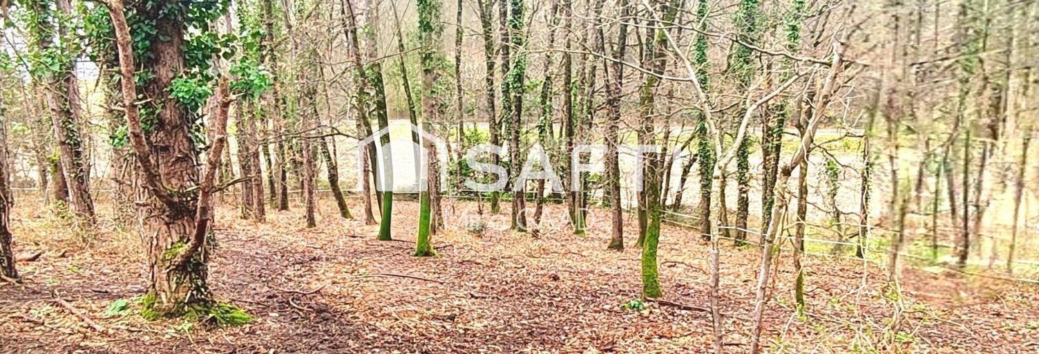 Terrain  2393 m² à vendre à Lavaur (81500)