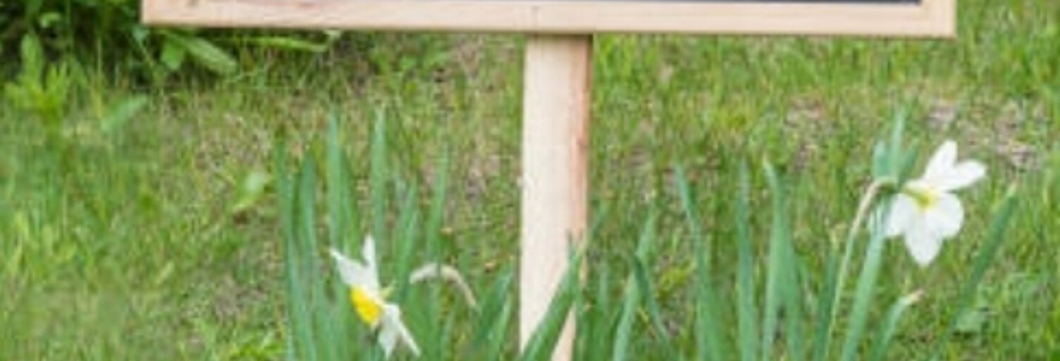 Terrain  1014 m² à vendre à Véron (89510)