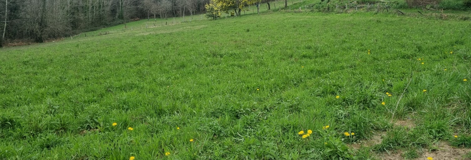 Terrain  1918 m² à vendre à Marcillac-Saint-Quentin (24200)