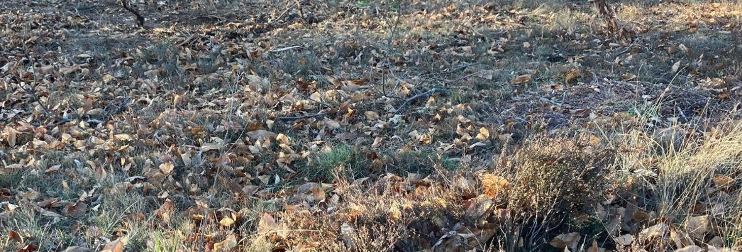 Terrain  1430 m² à vendre à Sanilhac (07110)