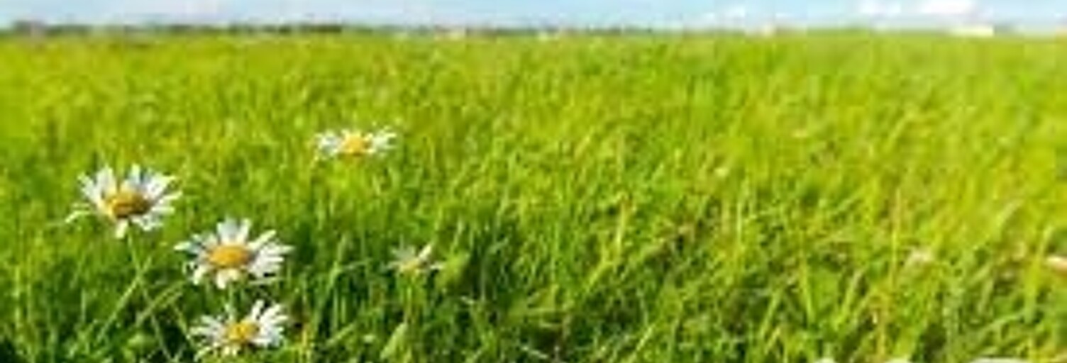 Terrain  922 m² à vendre à Saint-Xandre (17138)