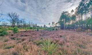 Terrain  828 m² à vendre à Le Barp (33114)