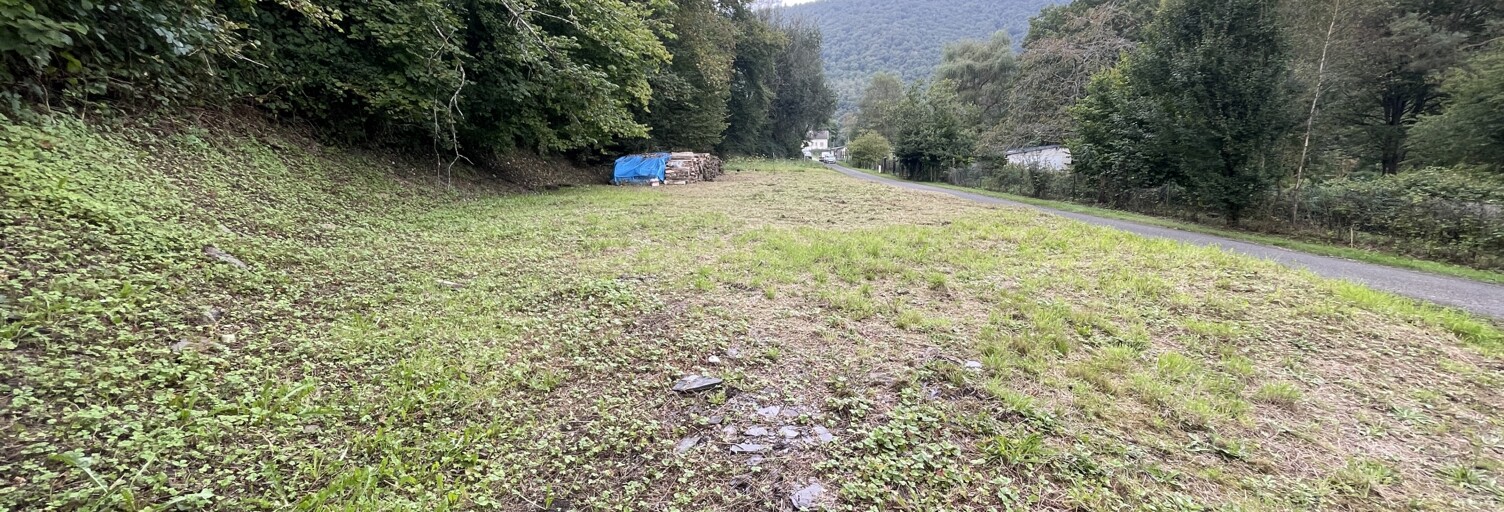 Terrain  1461 m² à vendre à Anchamps (08500)