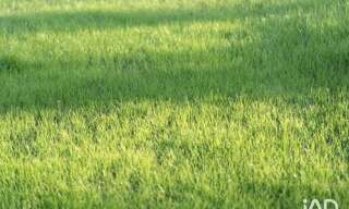 Commerce  3000 m² à louer à Beaucouzé (49070)