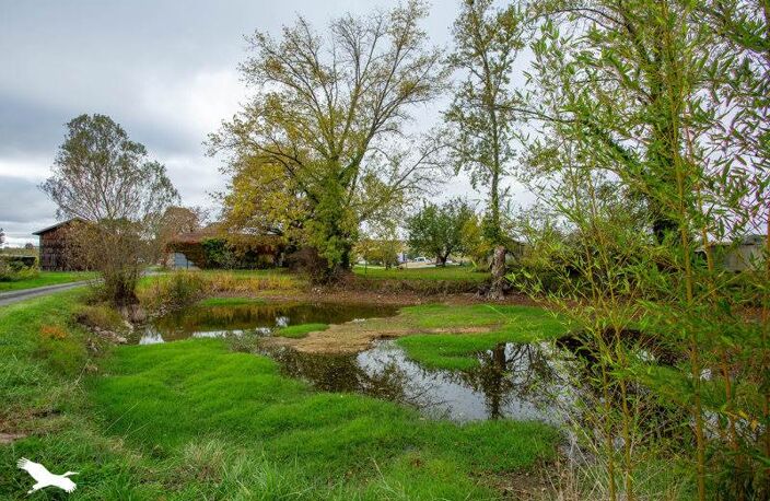 Vente maison 8 pièces 200 m² Mourens (33410) — photo 3