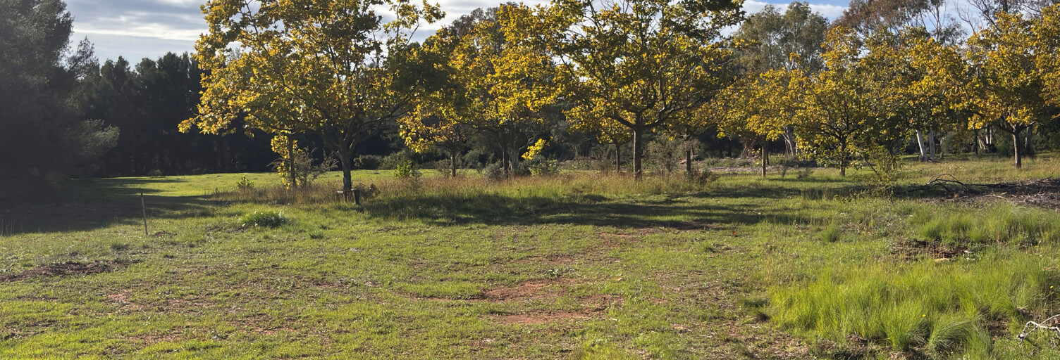 Terrain  2000 m² à vendre à La Cadière-d'Azur (83740)