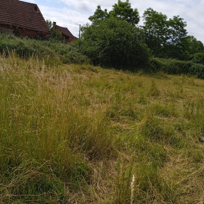 Photo Vente terrain - 0 pièce(s) image 3/3