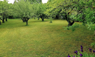 Terrain  710 m² à vendre à Sainte-Foy-lès-Lyon (69110)